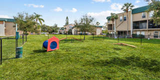 Buena Vista Gallery 45