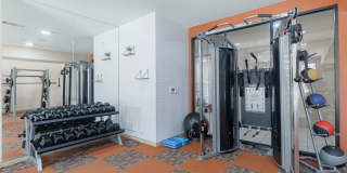 Haven at Westgreen Gallery 37