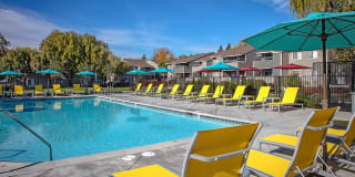 The Alexandar Gallery 14