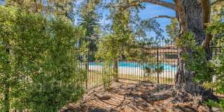 221 Palo Verde Terrace Gallery 22