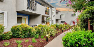 Pleasanton Place Gallery 10