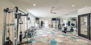 Artemis at Spring Canyon Gallery 14