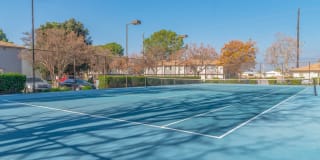 Citrus Grove Apartments Gallery 3