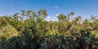 8331 Whiskey Preserve Circle Gallery 23