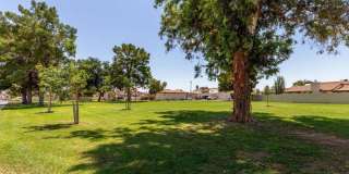 4760 W WAHALLA Lane Gallery 58