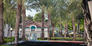 Montecito Gallery 18