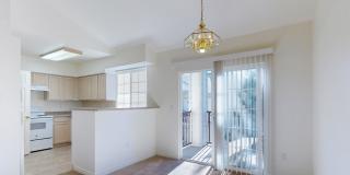 Tiburon Gallery 6