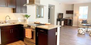 La Provence Gallery 1