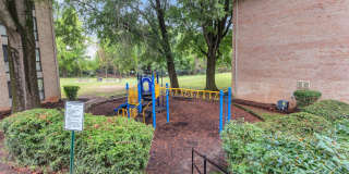 Aspen Hill Gallery 18