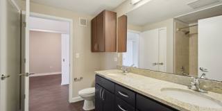 COLE COLE Gallery 43