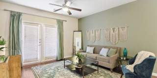 Agora Stone Oak Gallery 11