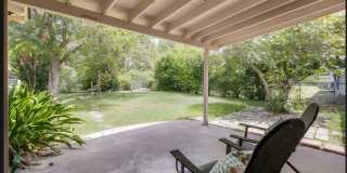 319 Mink Gallery 10