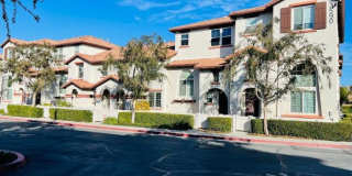 33590 Willow Haven Lane Gallery 1
