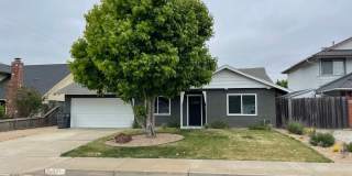 Luxurious Remodeled Home on South Side Gallery 1