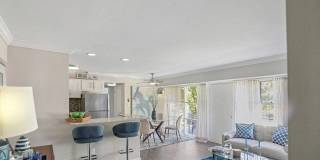 Nautilus Point Gallery 22