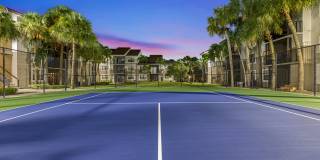 Alvista Hollywood Gallery 17