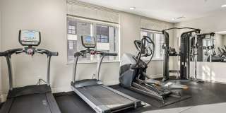 Freshwater Plaza Gallery 3