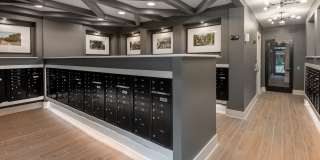 Citron at the Packing District Gallery 66