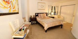 1769 Ivy Road Gallery 13