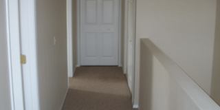 2 Bedroom 1 1/2 Bathroom - Close to Campus - Centrally Located Gallery 15
