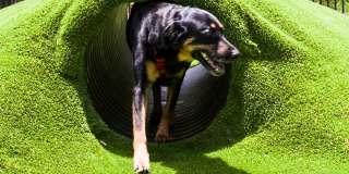 Pearl Greenway Gallery 25