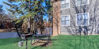 Muse Apartments Gallery 2