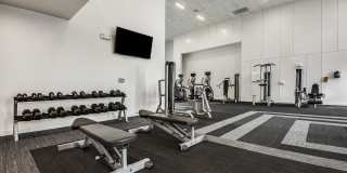 Lamar Union Gallery 52