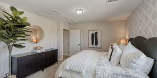 911 Cadence View Way Gallery 14