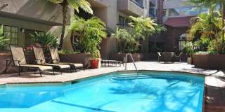 Savoy West Apartments Gallery 5