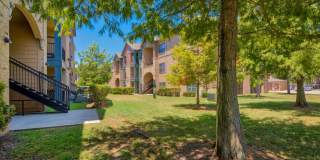 Lake Forest Gallery 19