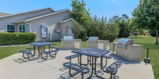 Ariel Springs Gallery 21