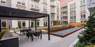 Alexan Main Street Gallery 70