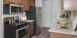 ReNew Minnehaha Gallery 1