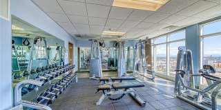 150 Las Vegas Boulevard Gallery 41
