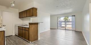 Rise Lakeside Gallery 71