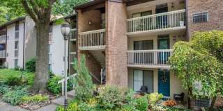 1526 MOORINGS Drive Gallery 27