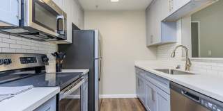 The Hazelwood Gallery 25