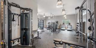 The Tristan Gallery 18