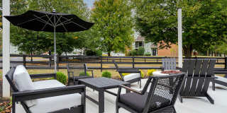 Steeplechase Gallery 47