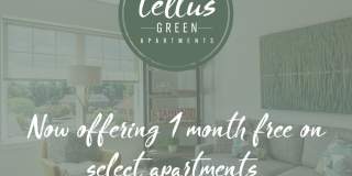 Tellus Green Tellus Green Gallery 12