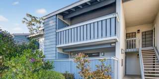 25611 Quail Run Gallery 1