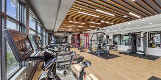 Anthem on Ashley Gallery 20