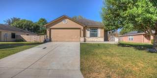 2042 Dragon Trail Gallery 1