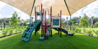 Mosaic Palms Gallery 29