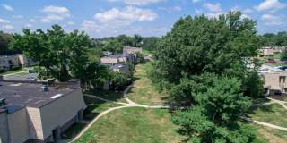 Forest Creek Gallery 17