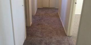 HOME NEAR UNIVERSITY NEW CARPET Gallery 18