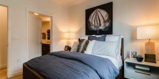 Markana Uptown Gallery 13