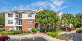 Southpoint Crossing Gallery 17