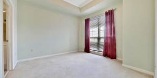 St Johns River Views! Gallery 10