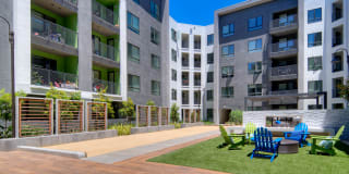 The Lex The Lex Gallery 43